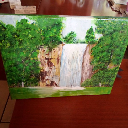 Painting on canvas like new, dimensions 30x24