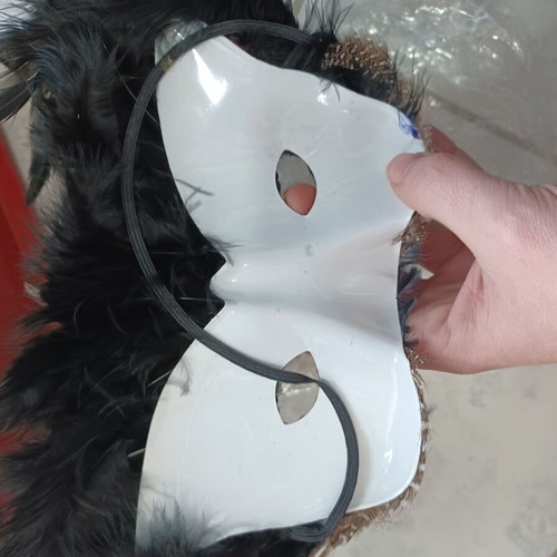 Carnival mask new