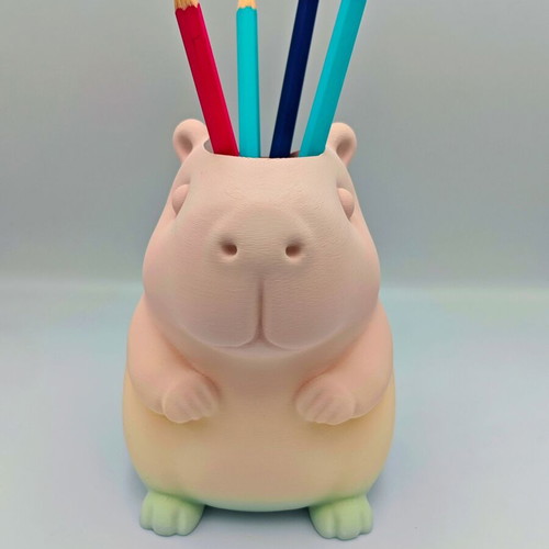 Capybara Pencil Holder new, 3D printed with Rainbow Matte finish
