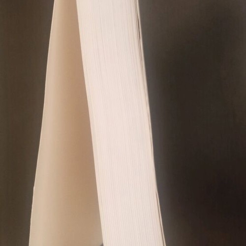 Nelson Basic Pediatrics Volume B like new