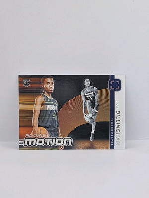 Panini Photogenic Rob Dillingham Rookie in motion