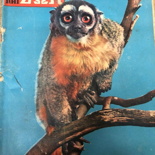 Epistimi kai Zoi magazine issue 14 used, 1959