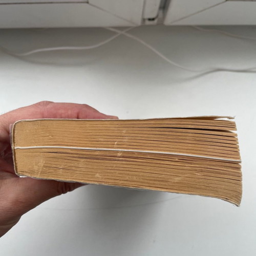 Book The Final Days used, English language