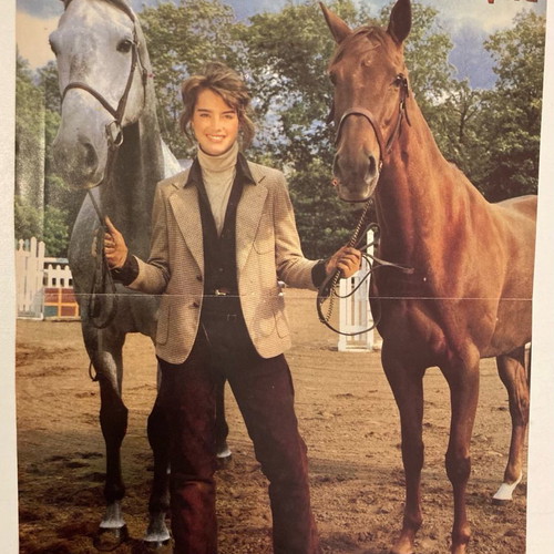 Summer Lovers Poster from Katerina Magazine like new