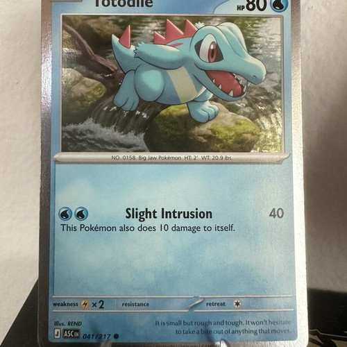 Pokémon Promo Set Totodile Chikorita Tepig new condition
