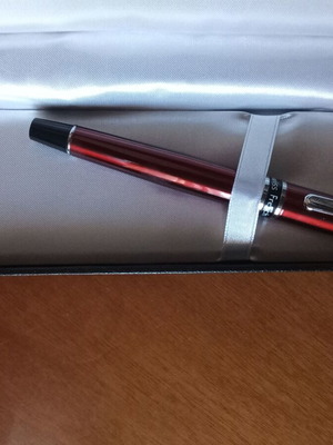 Pen with case like new