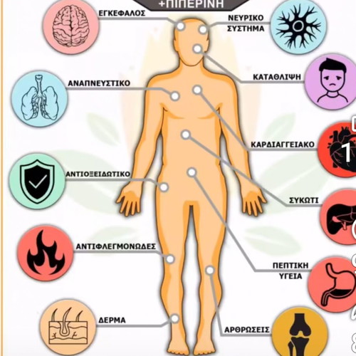 Turmeric new with antioxidant properties, kilogram packaging