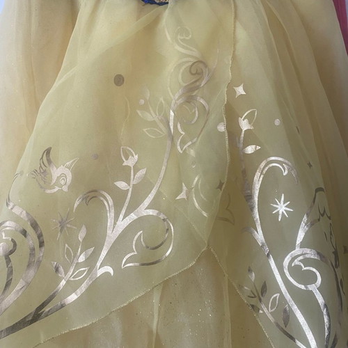 Snow White Costume from Disneyland worn once