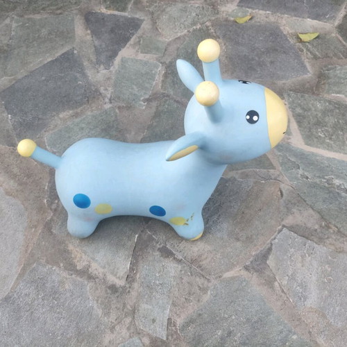 Inflatable toy used