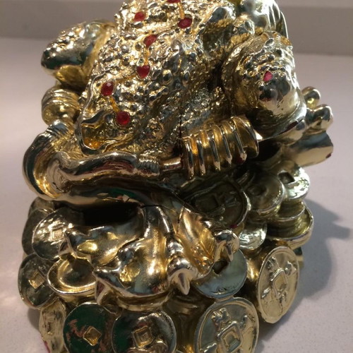 Golden Money Toad new 12 cm on pile of coins