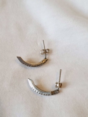 Earrings new impressive