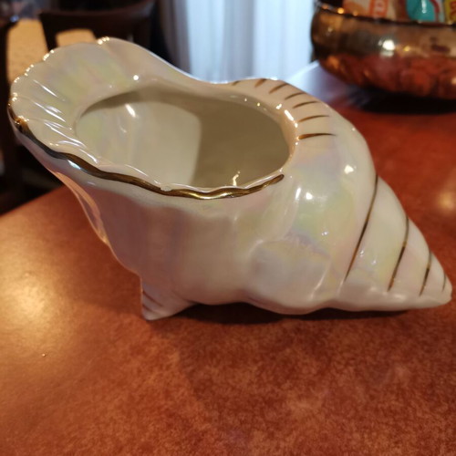 Ceramic decorative shell like new