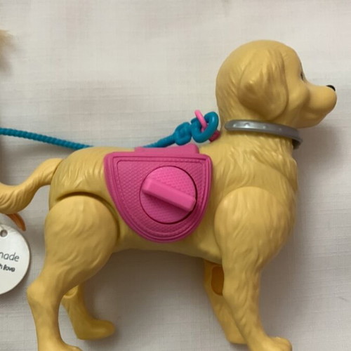 Barbie Walk & Potty Pup DWJ68 doll used with dog and accessories