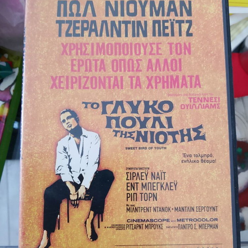 DVD Sweet Bird of Youth like new, subtitles