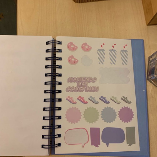 Tiger Agenda Planner like new missing some months and stickers