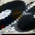  1988 The Escape Club – Shake For The Sheik , Vinyl, 12", 45 RPM