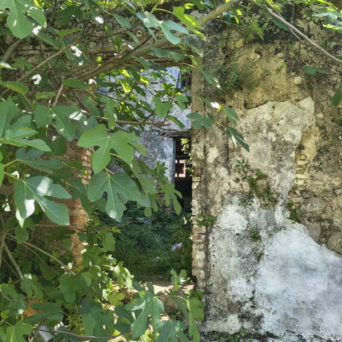 Stone house near Corfu town, 70 m², traditional village