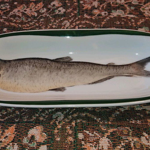 Beyer & Bock collector plate like new, porcelain with fish