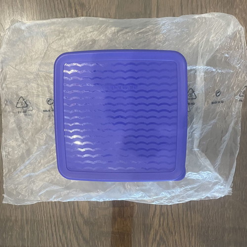 Tupperware Smart Cooling Container 1lt new