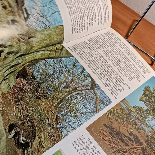 Plants used color thematic encyclopedia “Our World”