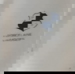 Σετ Σταχτοδοχεία Πορσελάνης Limoges