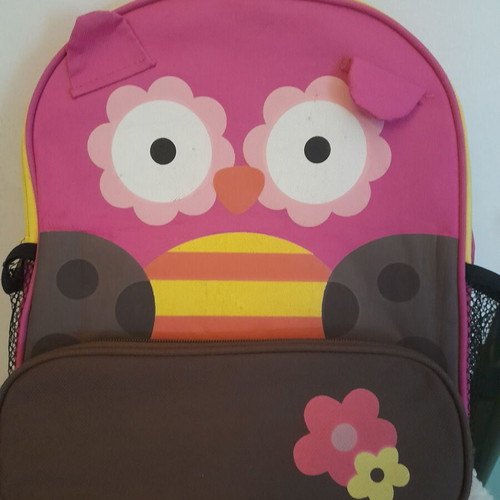 Toddler bag used for school trips