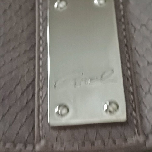 Axel envelope bag new in unique color with multiple compartments