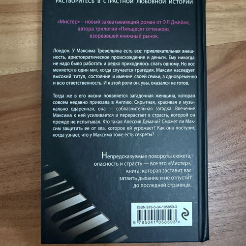 The Mister book like new, Russian language