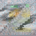  συλλεκτικό περιοδικό Mad Boys 13 Παναθηναϊκός Panathinaikos Θύρα 13 τεύχος 49 έτος 2007