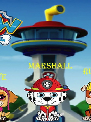 PAW Patrol φιγούρες Skye, Marshall, Rubble καινούργιες