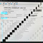  Samsung HD080HJ 80GB Serial ATA