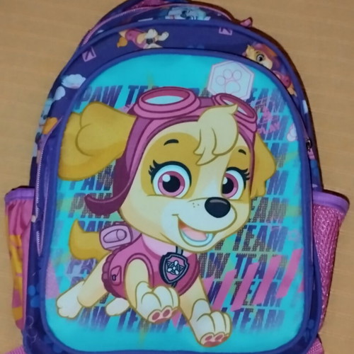 Paw Patrol kindergarten backpack