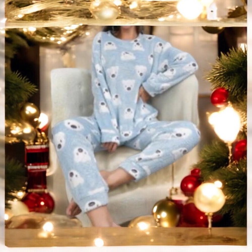 Shein fleece pajamas new, blue with bears
