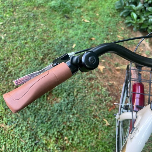 Sector city bike with child seat, aluminum frame