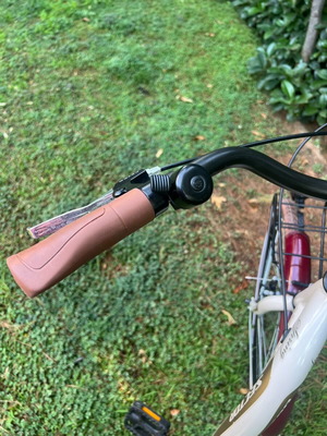 Sector city bike with child seat, aluminum frame