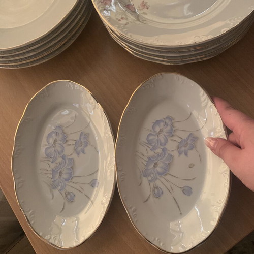 Floral vintage dish set used, includes 10 plates, 1 large platter, 2 small platters