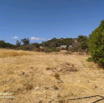 Agricultural land 2.5 acres with 28 sqm caravan in Vatera Lesvos