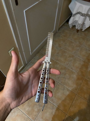 Educational butterfly comb new