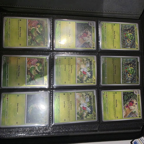 Pokémon Perfect Order Collection master set, nearly complete, new