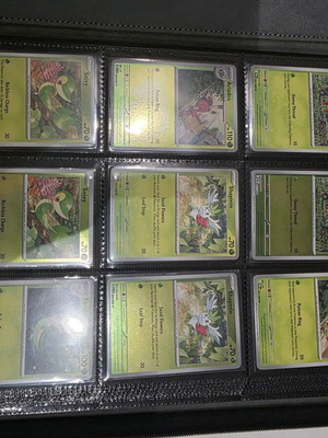 Pokémon Perfect Order Collection master set, nearly complete, new