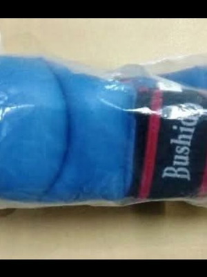 Bushido martial arts gloves new