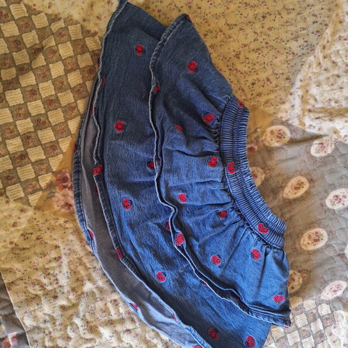 Baby denim skirt with embroidered ladybug design, like new