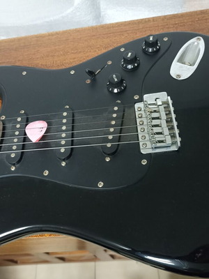 Westsound Professional electric guitar with case