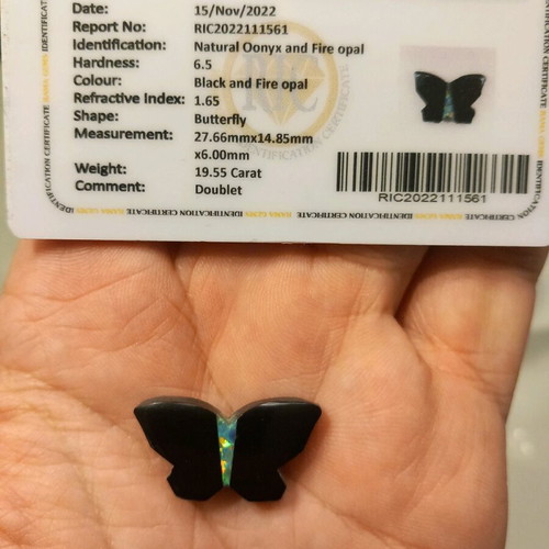 Black Onyx Butterfly with Firewall and Certificate, new