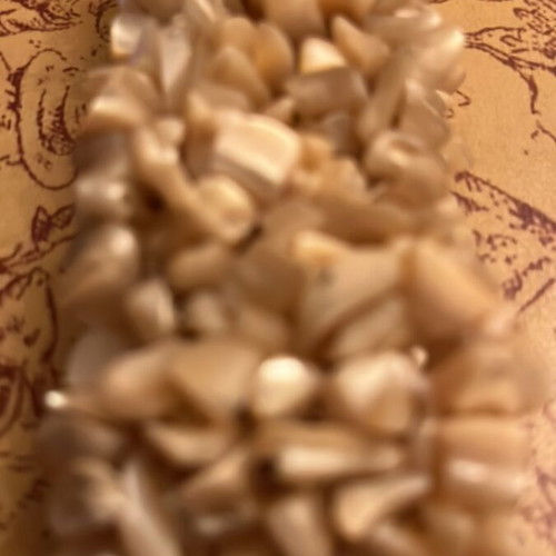 Shell bracelet like new, elastic with natural beige pieces