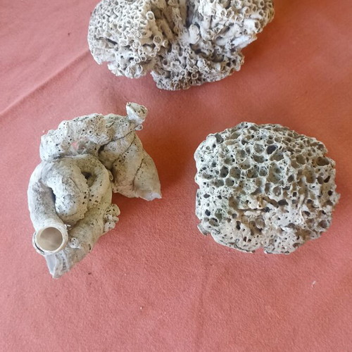 Set of 3 Authentic Marine Decor Corals