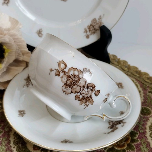 PT Tirschenreuth Bavaria antique coffee set used