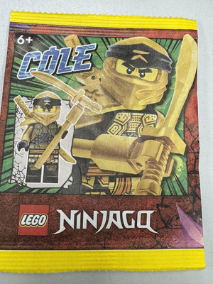 Lego Ninjago Cole minifigure
