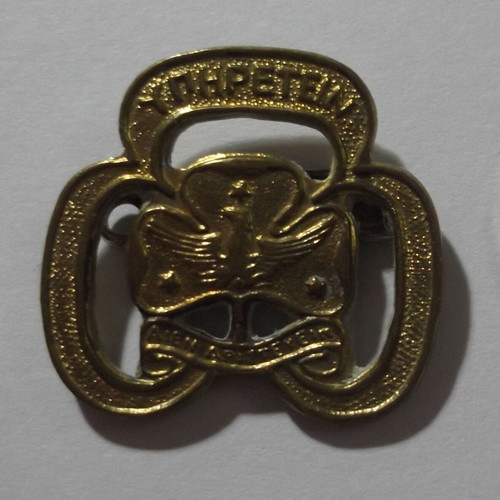 Greek Scouts Pin like new, gold color with emblem and phoenix