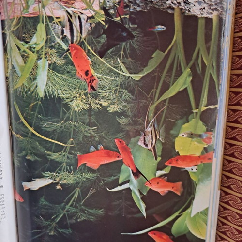 Book/Encyclopedia "The Wonderful World of Animals" like new, Greek